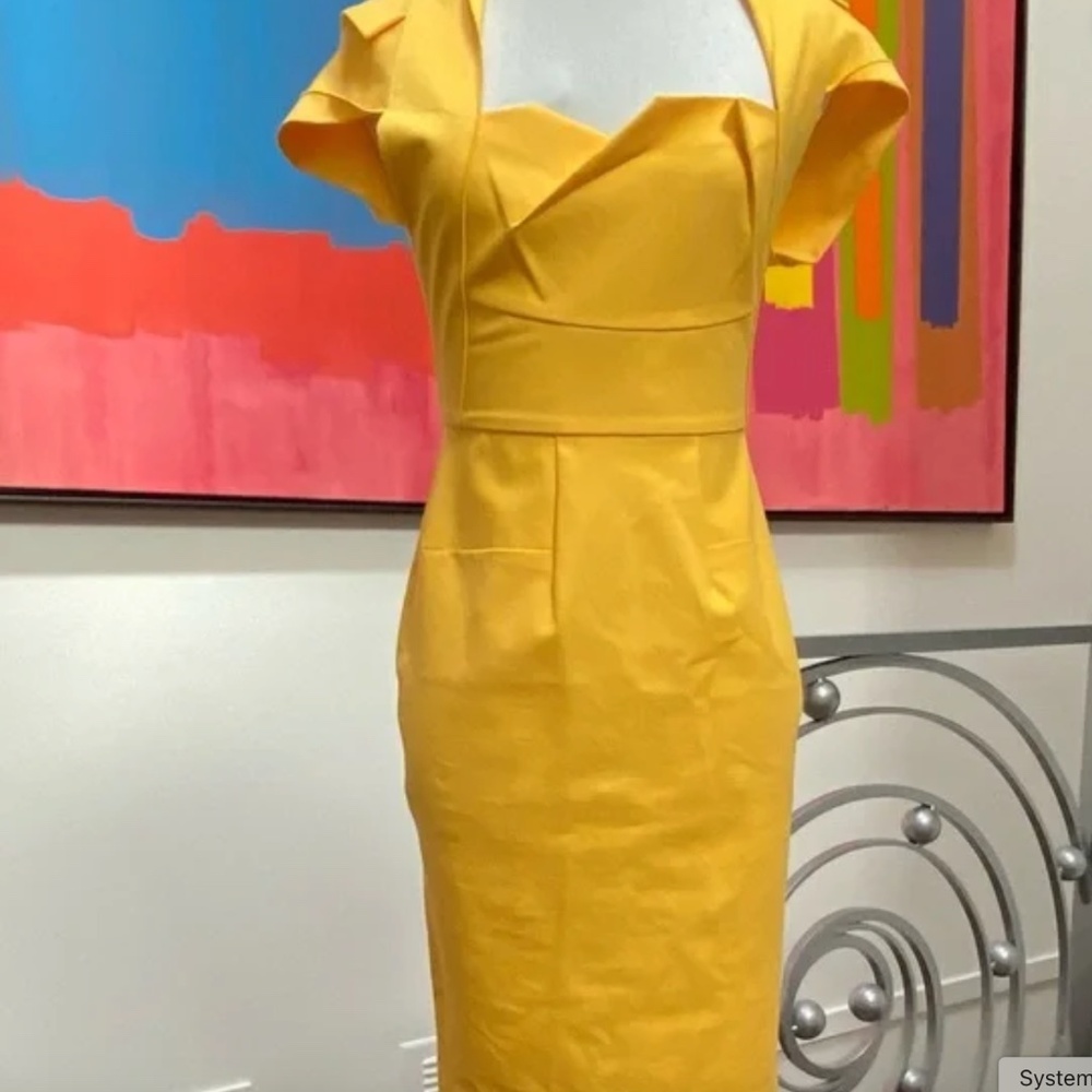 Stunning Roland Mouret Dress